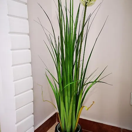 Aranyhal Vendeghaz Sukoró