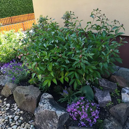 Aranyhal Vendeghaz בית נופש *